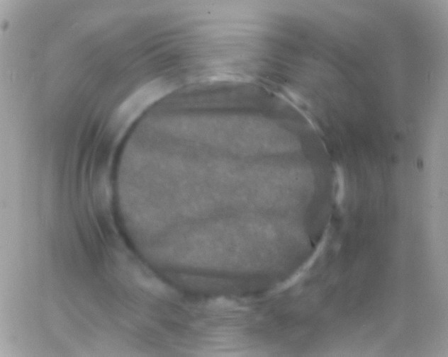 X0000066000290200603172212