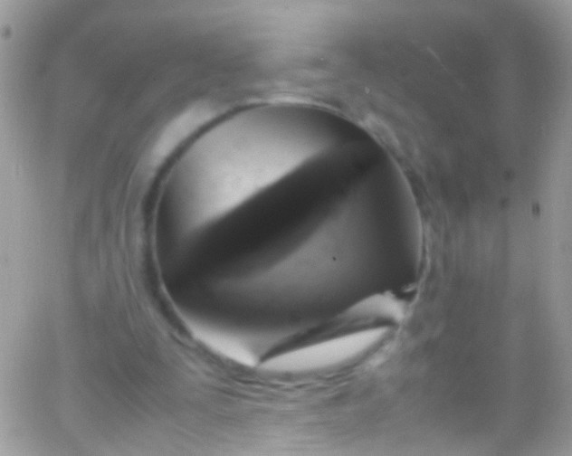 X0000066000295200603172212