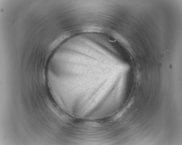 X0000066000298200603172212