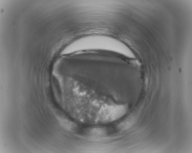 X0000066000303200603172212
