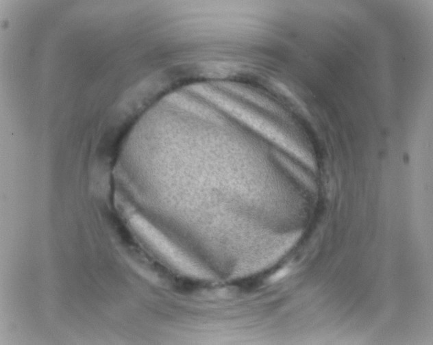 X0000066000307200603172212