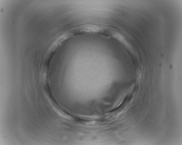 X0000066000309200603172212