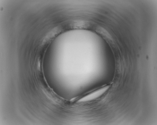 X0000066000310200603172212
