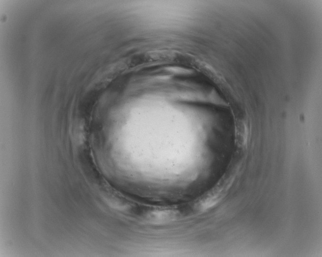 X0000066000323200603172212