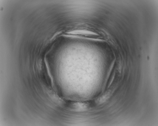 X0000066000326200603172212