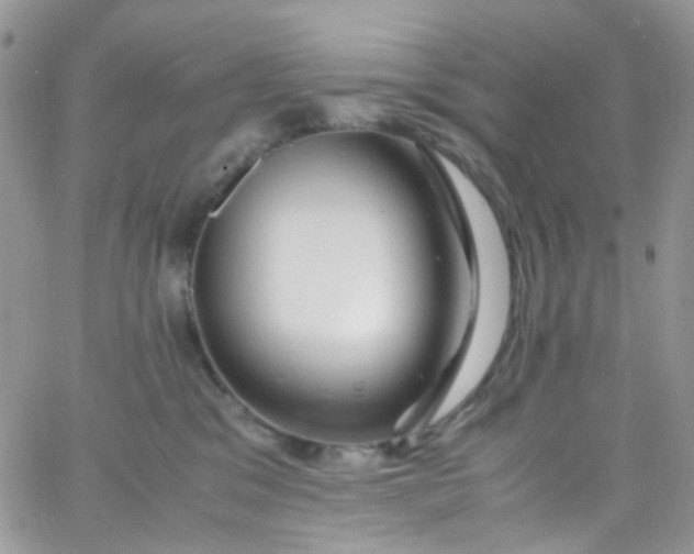 X0000066000329200603172211