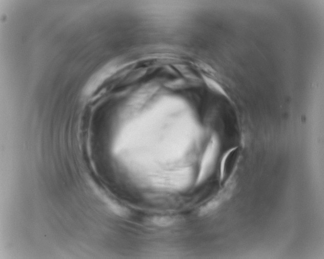 X0000066000341200603172211