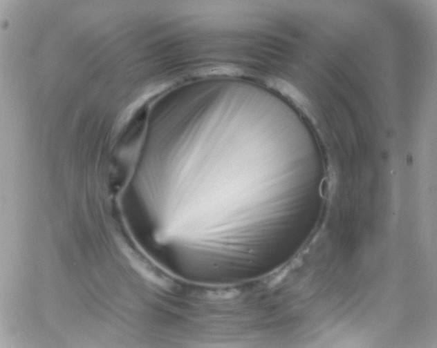 X0000066000345200603172211