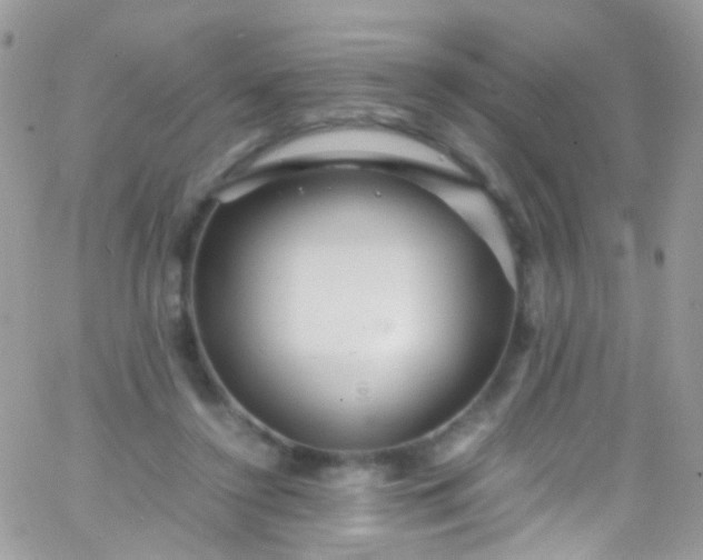 X0000066000356200603172211
