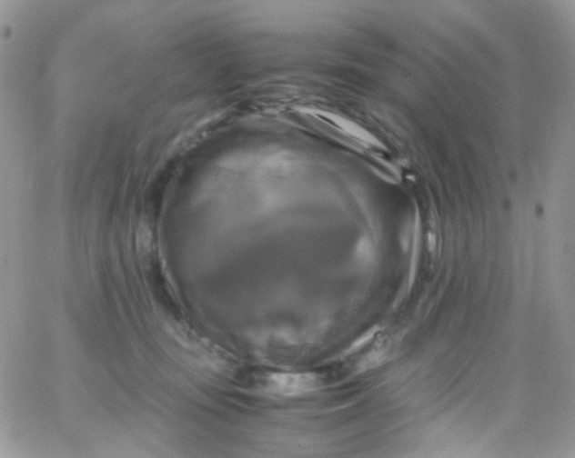 X0000066000371200603172211