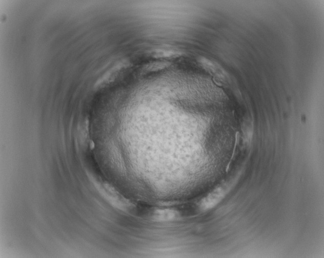 X0000066000376200603172211