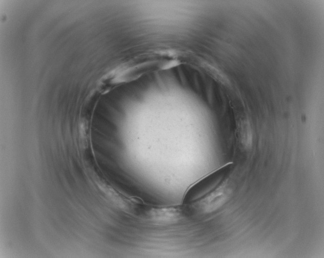 X0000066000378200603172211