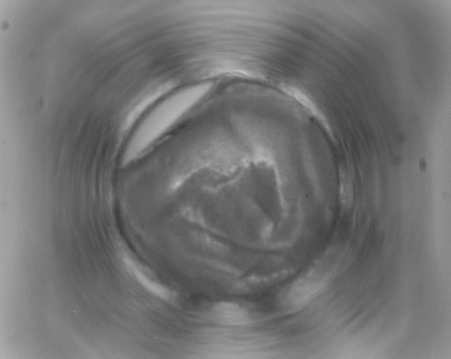 X0000066000390200603172210