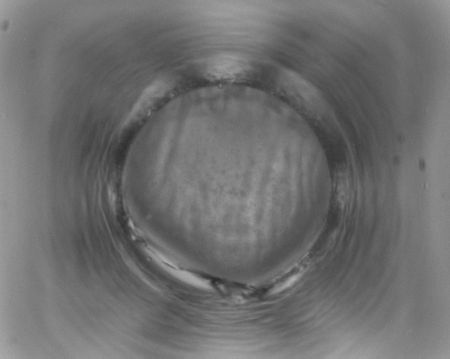X0000066000408200603172210