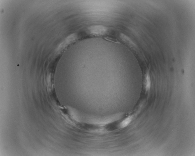 X0000066000428200603172210
