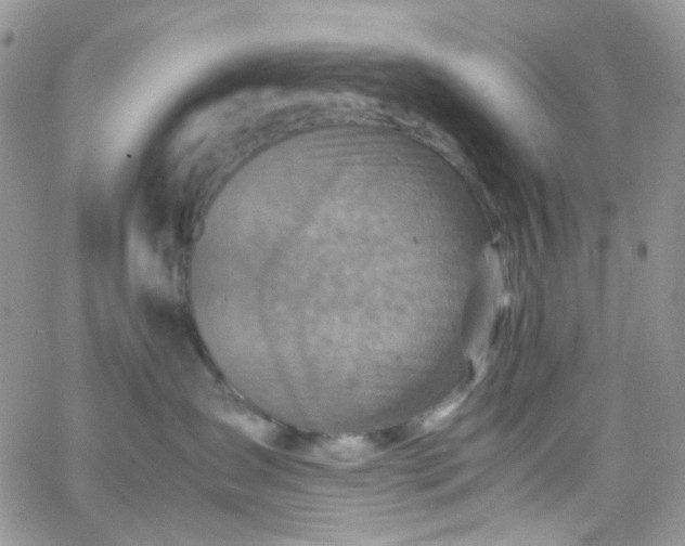 X0000066000431200603172210