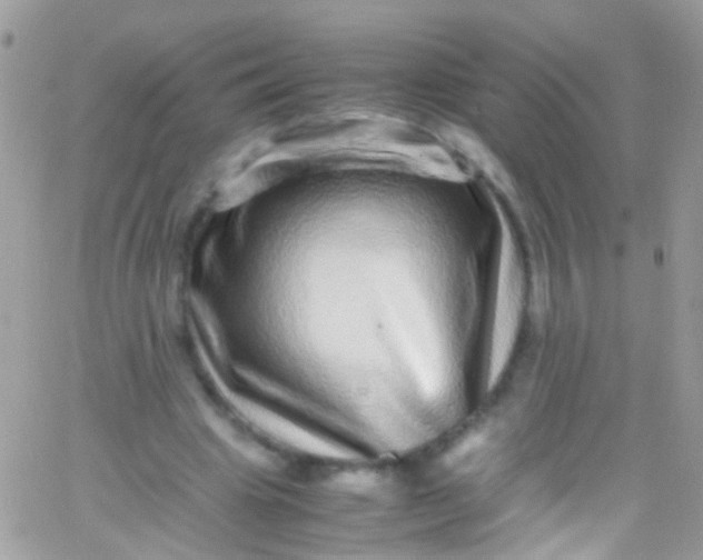 X0000066000441200603172209