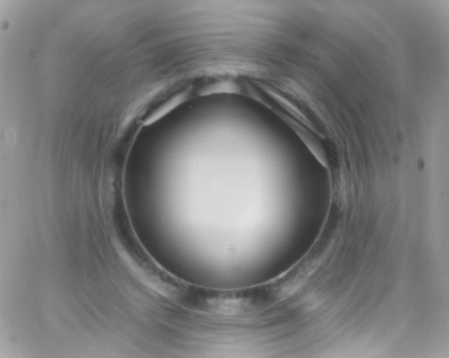 X0000066000448200603172209