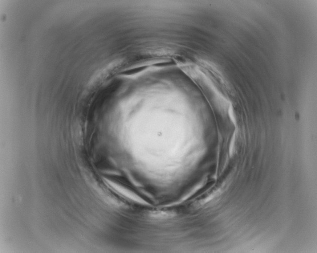 X0000066000453200603172209