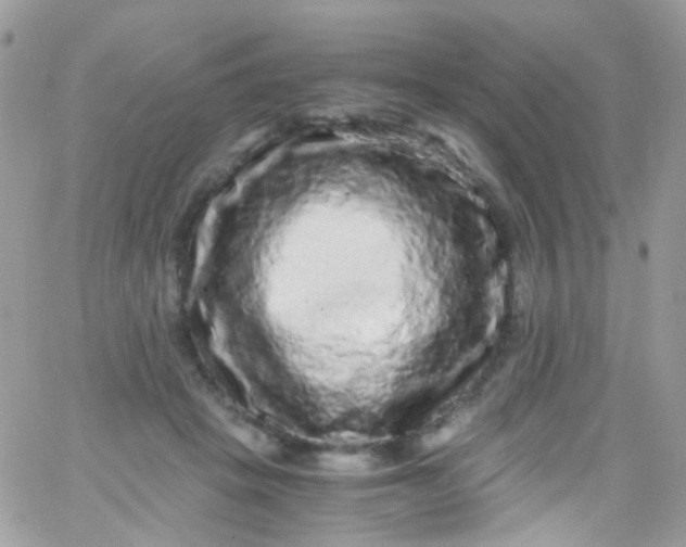 X0000066000457200603172209