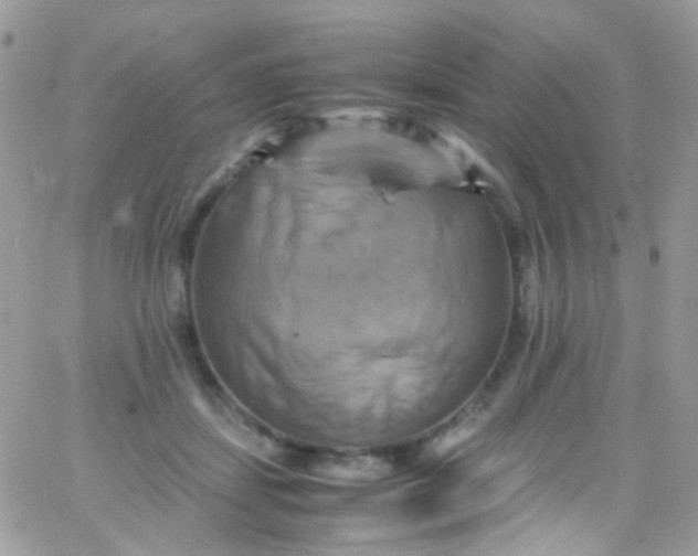 X0000066000459200603172209