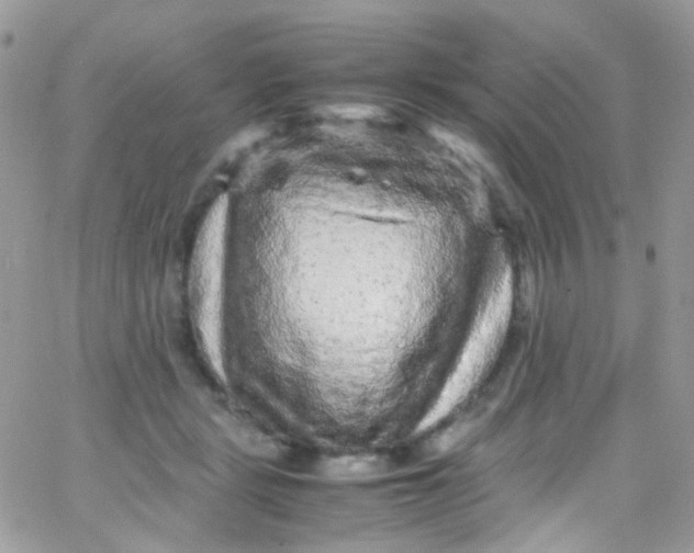 X0000066000461200603172209