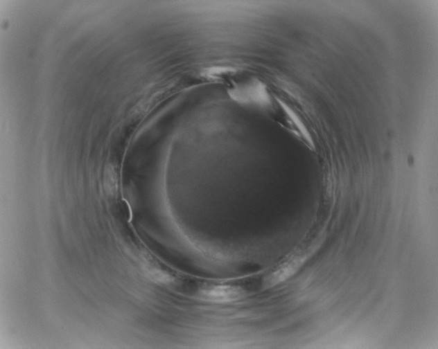 X0000066000467200603172210