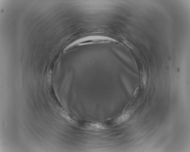 X0000066000475200603172210