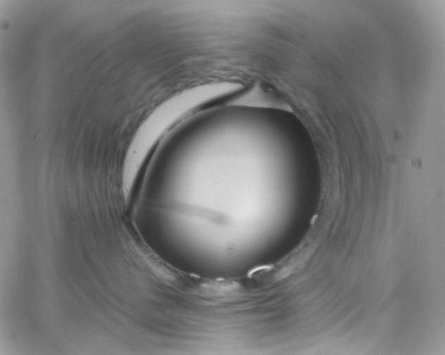 X0000066000480200603172210