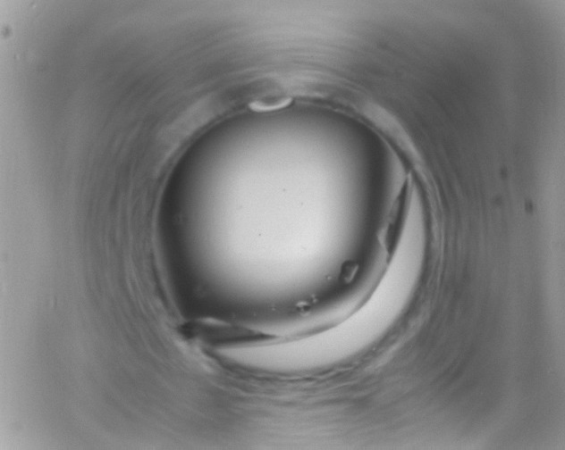 X0000066000481200603172209