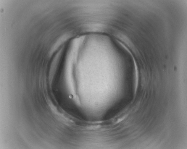 X0000066000482200603172209