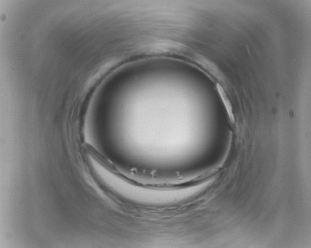 X0000066000485200603172209
