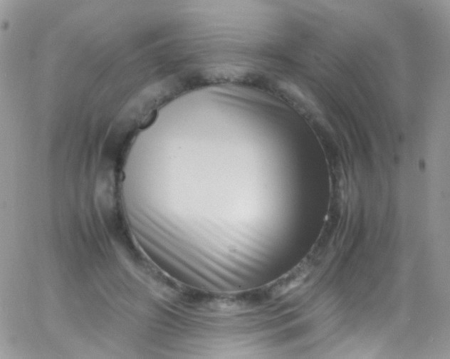 X0000066000498200603172209