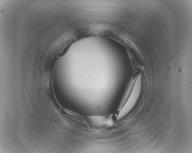 X0000066000505200603172209