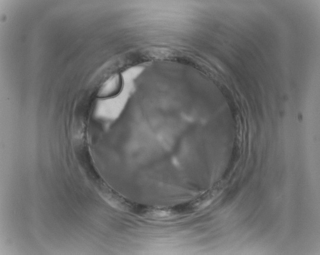 X0000066000507200603172209