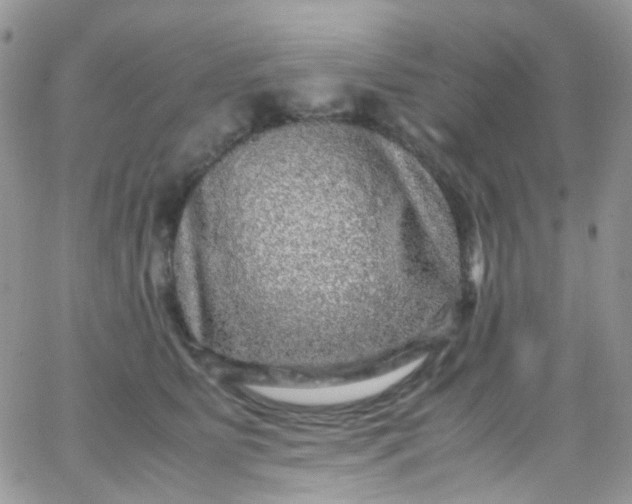 X0000066000515200603172208