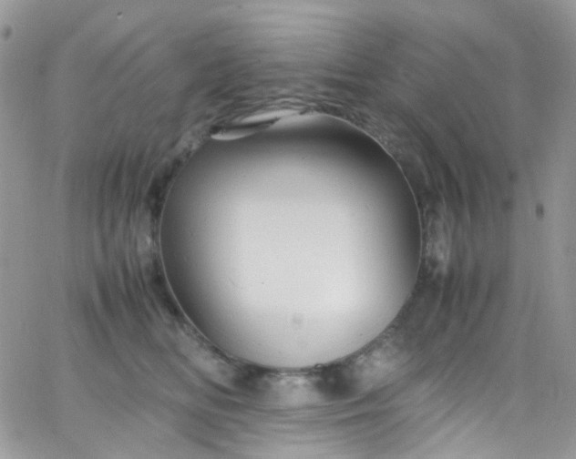 X0000066000518200603172208