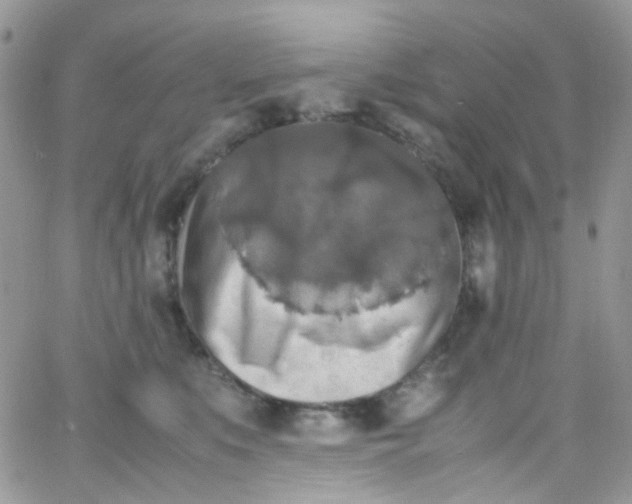 X0000066000519200603172208