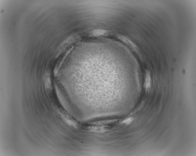X0000066000524200603172208
