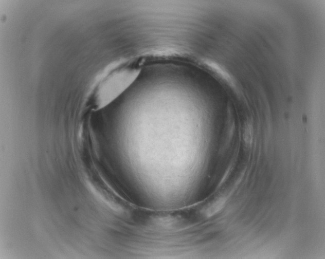 X0000066000540200603172208