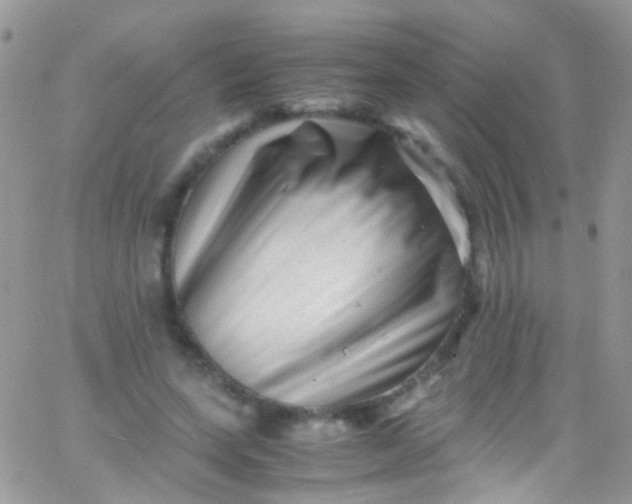 X0000066000543200603172208