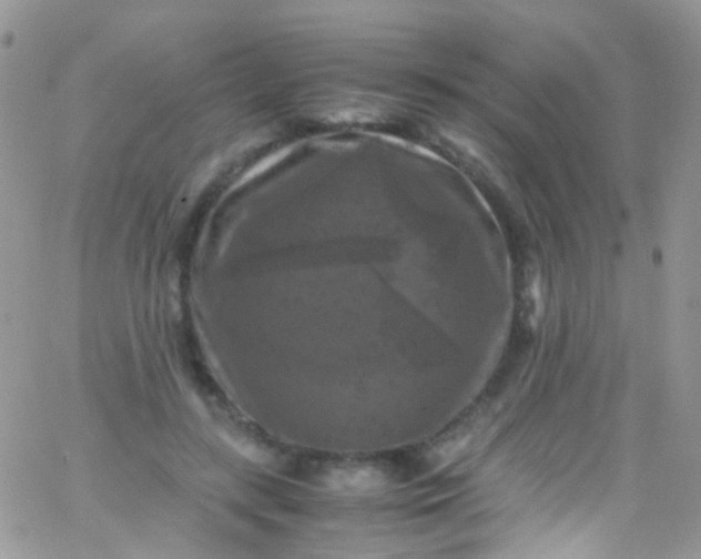 X0000066000547200603172208