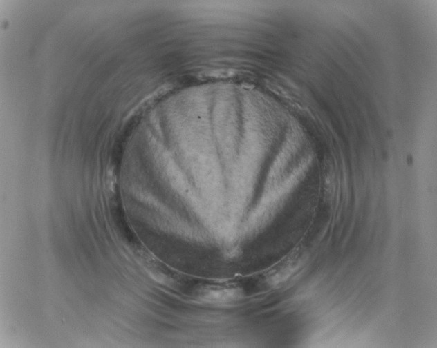 X0000066000555200603172208