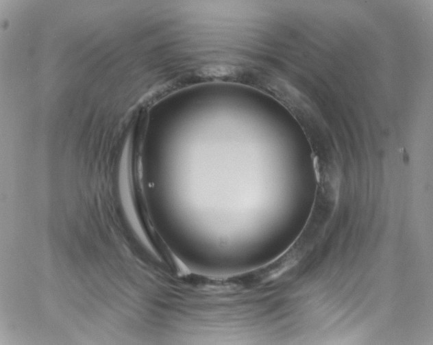 X0000066000556200603172208