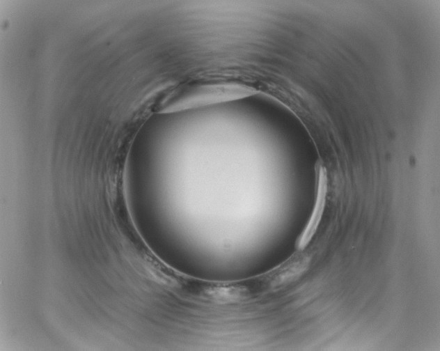 X0000066000558200603172208