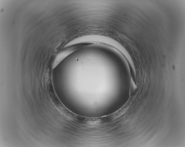 X0000066000560200603172208