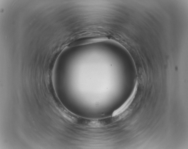 X0000066000562200603172208