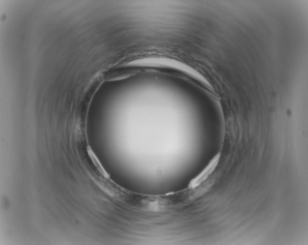 X0000066000564200603172208