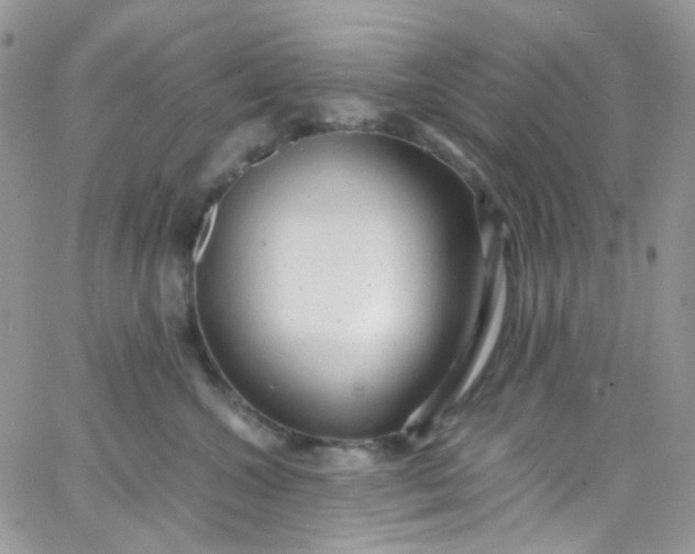 X0000066000572200603172208