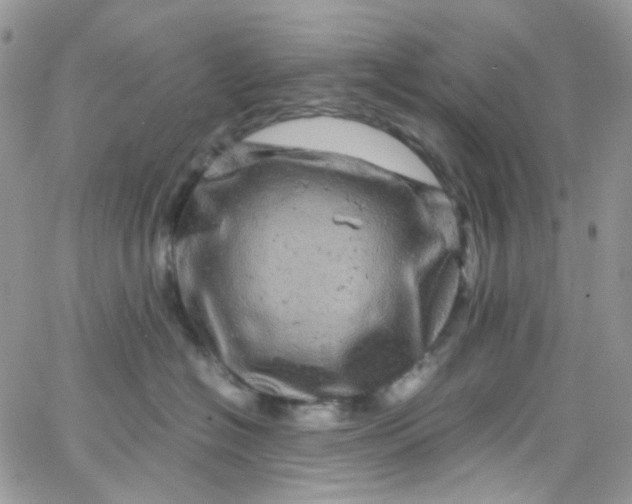 X0000066000574200603172208